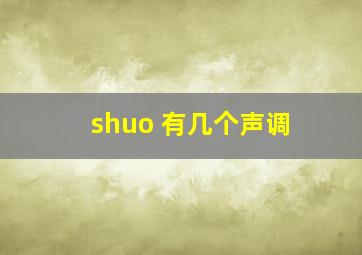 shuo 有几个声调